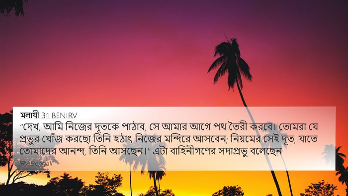 মলাখী 3:1 BENIRV Bible Verse Image