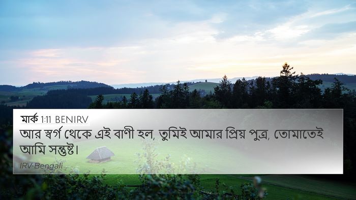 মার্ক 1:11 BENIRV Bible Verse Image
