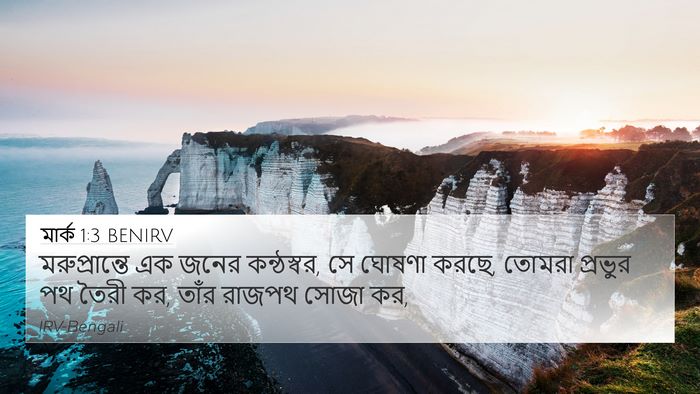 মার্ক 1:3 BENIRV Bible Verse Image