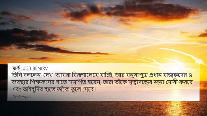 মার্ক 10:33 BENIRV Bible Verse Image