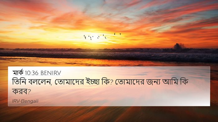 মার্ক 10:36 BENIRV Bible Verse Image