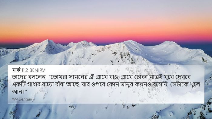 মার্ক 11:2 BENIRV Bible Verse Image