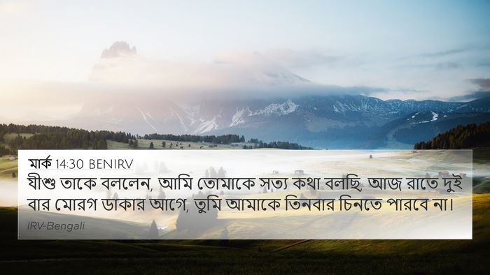 মার্ক 14:30 BENIRV Bible Verse Image