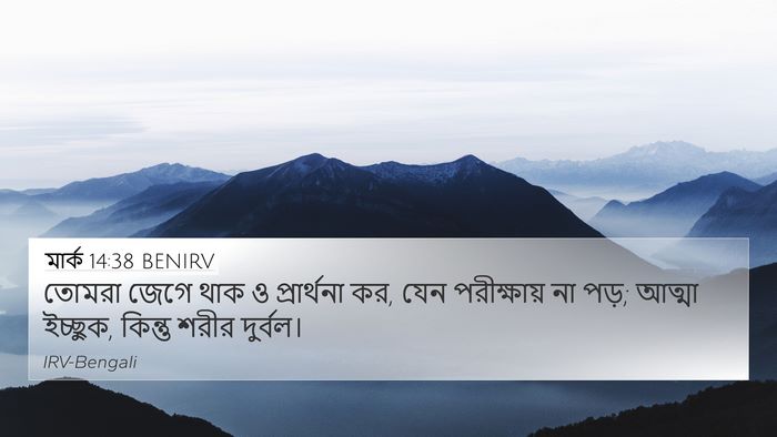 মার্ক 14:38 BENIRV Bible Verse Image