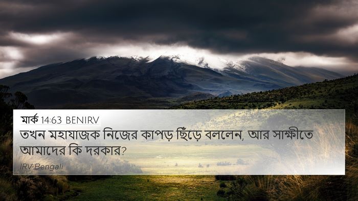 মার্ক 14:63 BENIRV Bible Verse Image