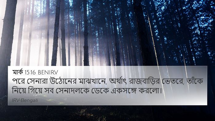 মার্ক 15:16 BENIRV Bible Verse Image