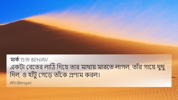 মার্ক 15:19 BENIRV Bible Verse Image