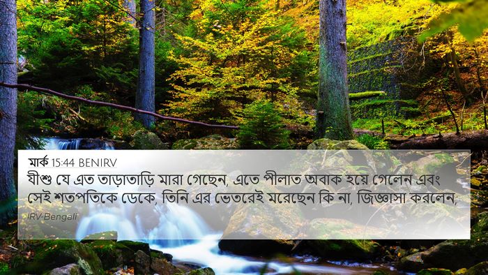 মার্ক 15:44 BENIRV Bible Verse Image