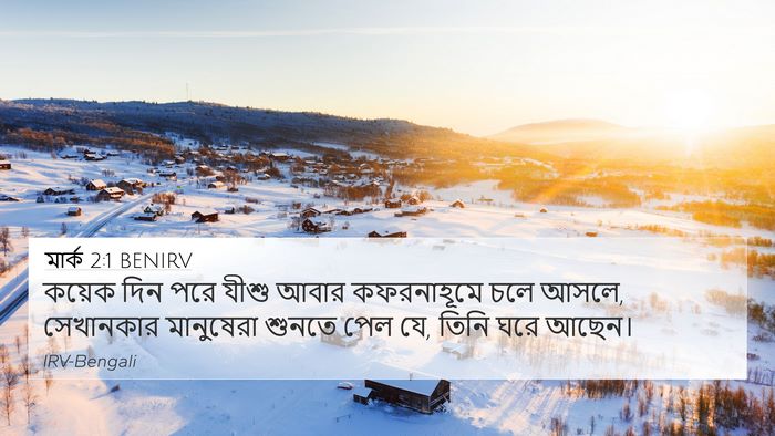 মার্ক 2:1 BENIRV Bible Verse Image
