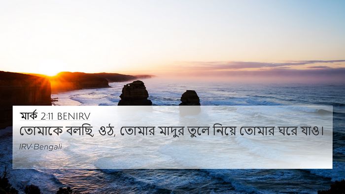 মার্ক 2:11 BENIRV Bible Verse Image