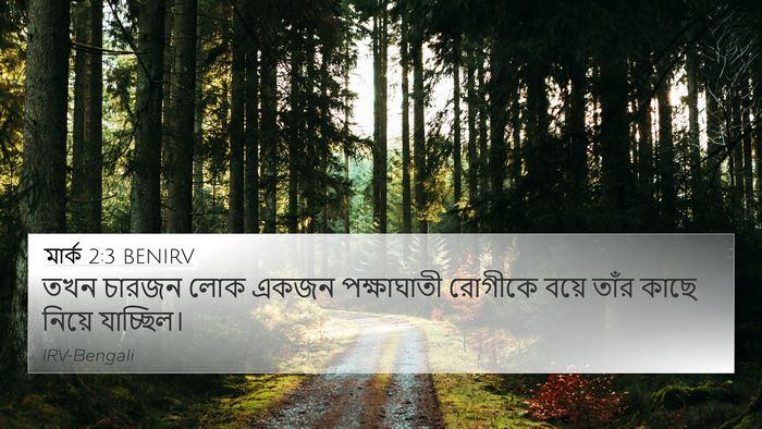 মার্ক 2:3 BENIRV Bible Verse Image