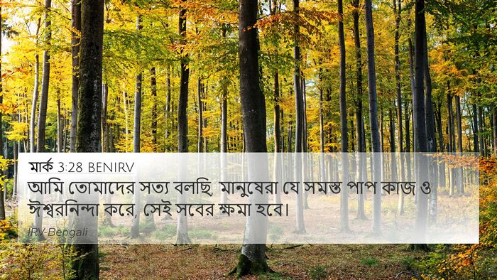 মার্ক 3:28 BENIRV Bible Verse Image