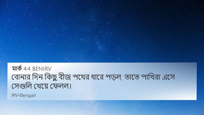 মার্ক 4:4 BENIRV Bible Verse Image