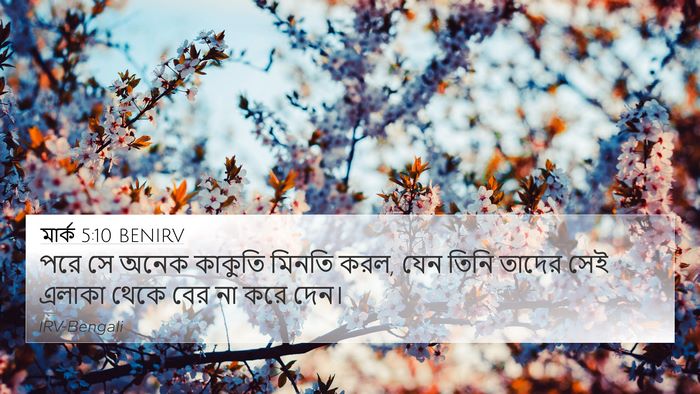 মার্ক 5:10 BENIRV 4K Wallpaper - পরে সে অনেক কাকুতি - 4K Wallpaper Bible Verse
