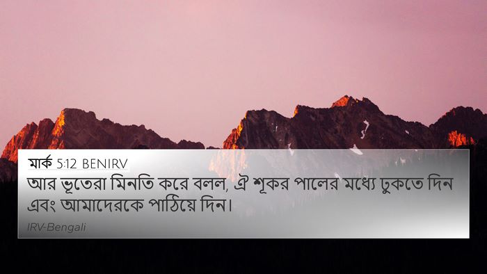 মার্ক 5:12 BENIRV Bible Verse Image