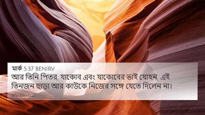 মার্ক 5:37 BENIRV Bible Verse Image