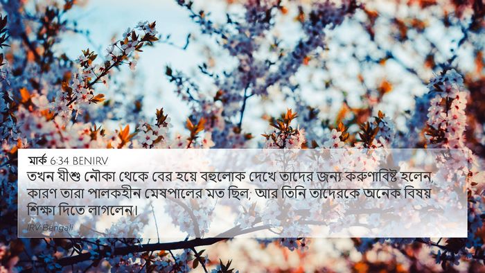 মার্ক 6:34 BENIRV Bible Verse Image