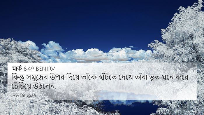 মার্ক 6:49 BENIRV Bible Verse Image