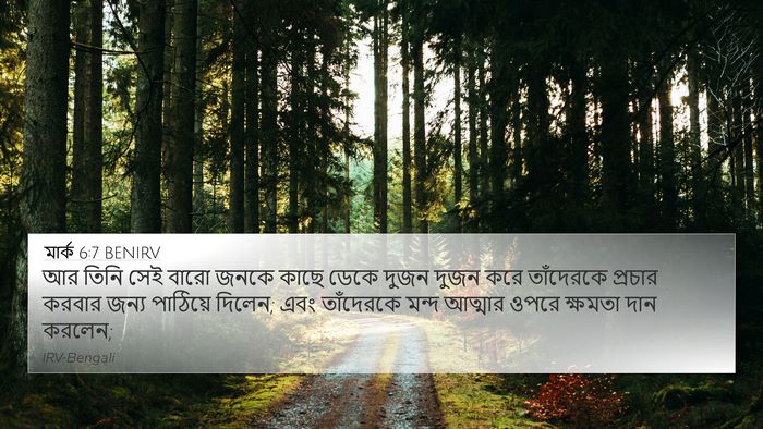মার্ক 6:7 BENIRV Bible Verse Image