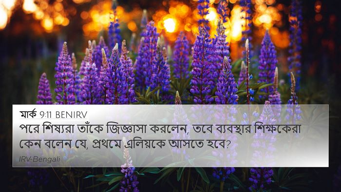 মার্ক 9:11 BENIRV Bible Verse Image