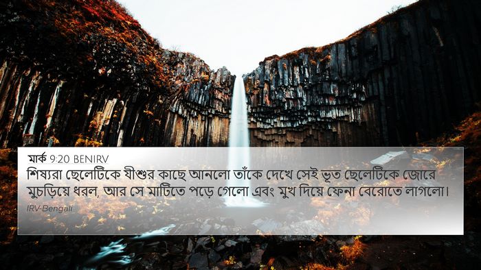 মার্ক 9:20 BENIRV Bible Verse Image