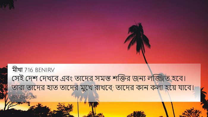 মীখা 7:16 BENIRV Bible Verse Image