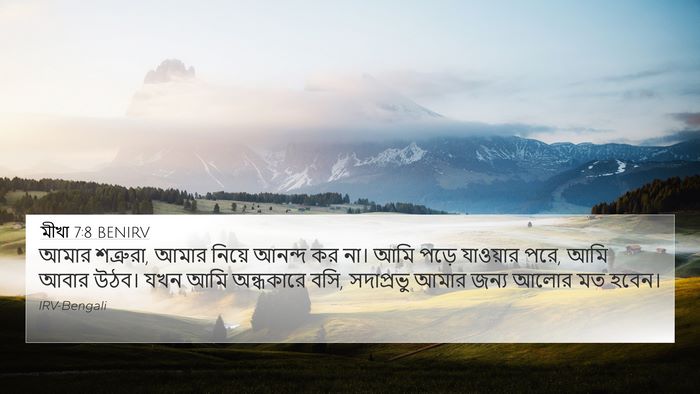 মীখা 7:8 BENIRV Bible Verse Image