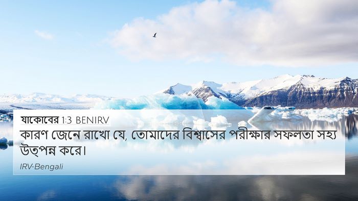 যাকোবের 1:3 BENIRV 4K Wallpaper - কারণ জেনে রাখো যে, - 4K Wallpaper Bible Verse