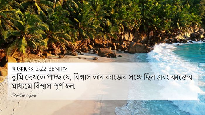 যাকোবের 2:22 BENIRV 4K Wallpaper - তুমি দেখতে পাচ্ছ - 4K Wallpaper Bible Verse
