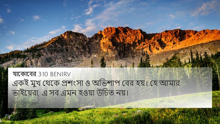 যাকোবের 3:10 BENIRV 4K Wallpaper - একই মুখ থেকে - 4K Wallpaper Bible Verse
