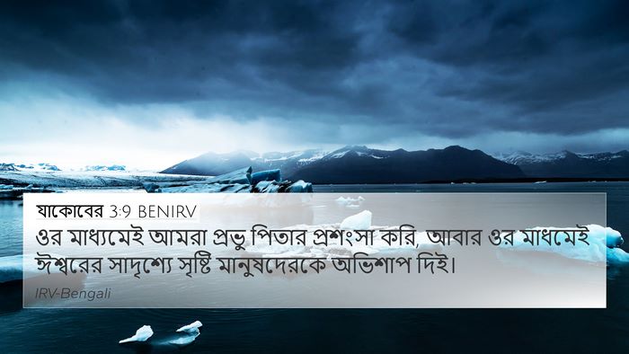 যাকোবের 3:9 BENIRV 4K Wallpaper - ওর মাধ্যমেই আমরা - 4K Wallpaper Bible Verse