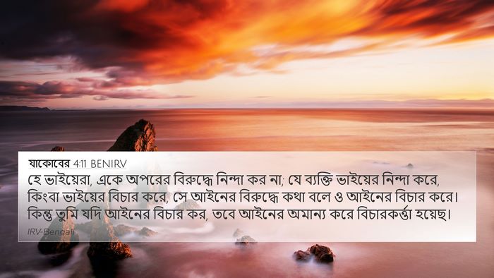 যাকোবের 4:11 BENIRV Bible Verse Image