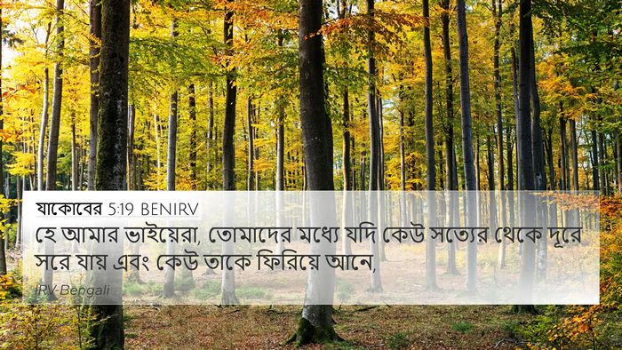 যাকোবের 5:19 BENIRV Bible Verse Image