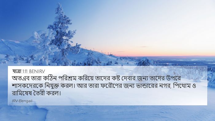যাত্ৰা 1:11 BENIRV Bible Verse Image