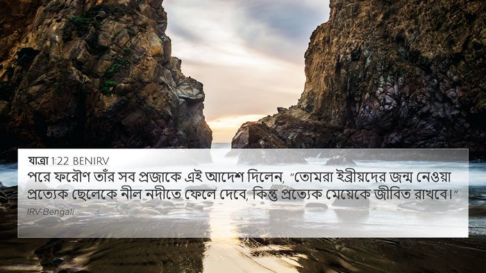 যাত্ৰা 1:22 BENIRV Bible Verse Image