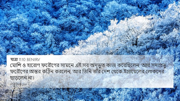 যাত্ৰা 11:10 BENIRV Bible Verse Image