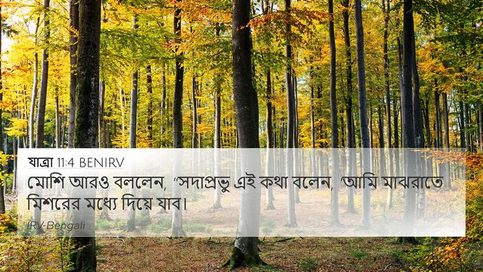 যাত্ৰা 11:4 BENIRV Bible Verse Image