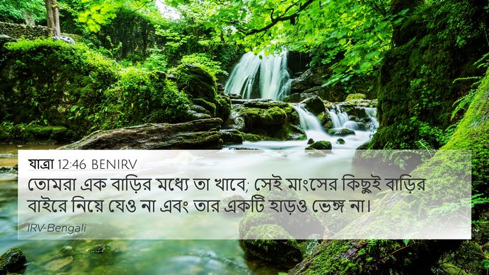 যাত্ৰা 12:46 BENIRV Bible Verse Image
