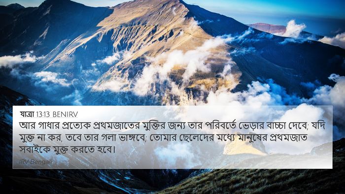 যাত্ৰা 13:13 BENIRV Bible Verse Image