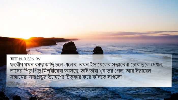 যাত্ৰা 14:10 BENIRV Bible Verse Image