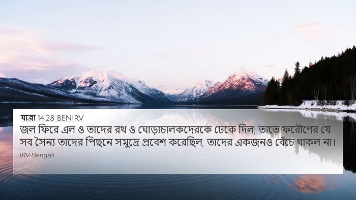 যাত্ৰা 14:28 BENIRV Bible Verse Image