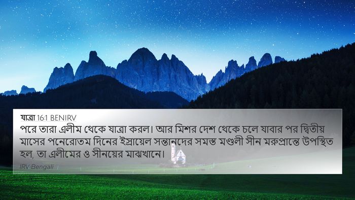 যাত্ৰা 16:1 BENIRV Bible Verse Image