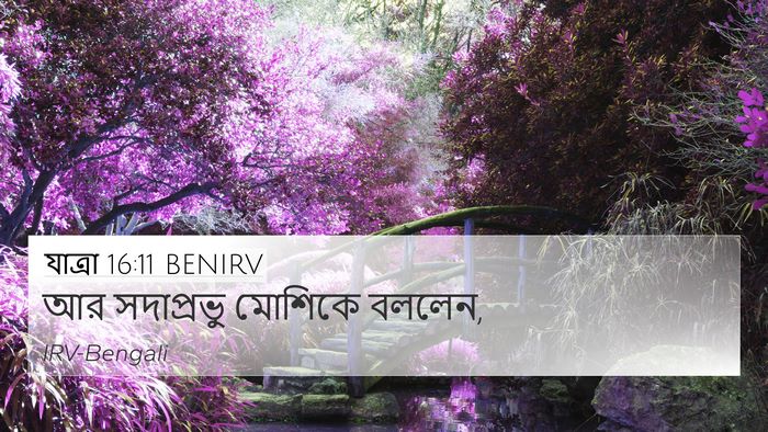 যাত্ৰা 16:11 BENIRV 4K Wallpaper - আর সদাপ্রভু - 4K Wallpaper Bible Verse