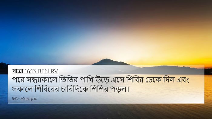 যাত্ৰা 16:13 BENIRV Bible Verse Image