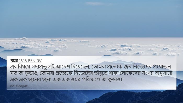 যাত্ৰা 16:16 BENIRV Bible Verse Image