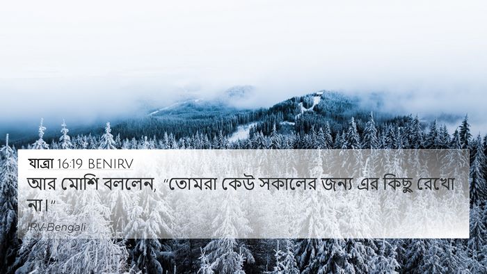 যাত্ৰা 16:19 BENIRV Bible Verse Image