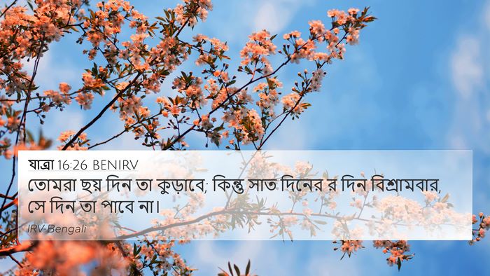 যাত্ৰা 16:26 BENIRV 4K Wallpaper - তোমরা ছয় দিন তা - 4K Wallpaper Bible Verse