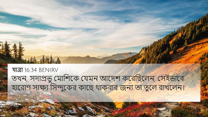যাত্ৰা 16:34 BENIRV Bible Verse Image