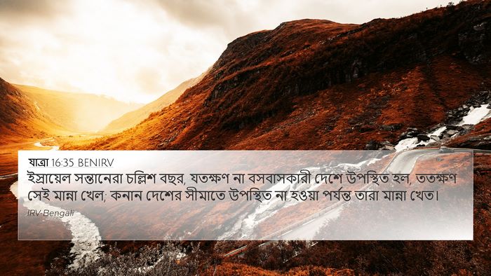 যাত্ৰা 16:35 BENIRV Bible Verse Image