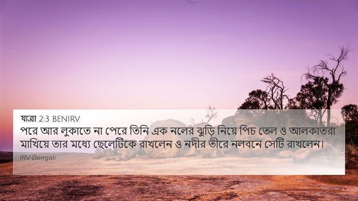 যাত্ৰা 2:3 BENIRV 4K Wallpaper - পরে আর লুকাতে না - 4K Wallpaper Bible Verse